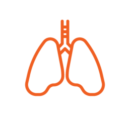 Lungs icon, Lung function test, BEconneCTD-ILD Study, interstitial lung disease, connective tissue disease