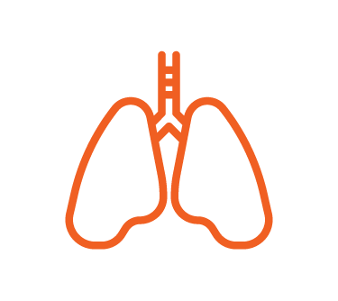 Lungs icon, Lung function test, BEconneCTD-ILD Study, interstitial lung disease, connective tissue disease